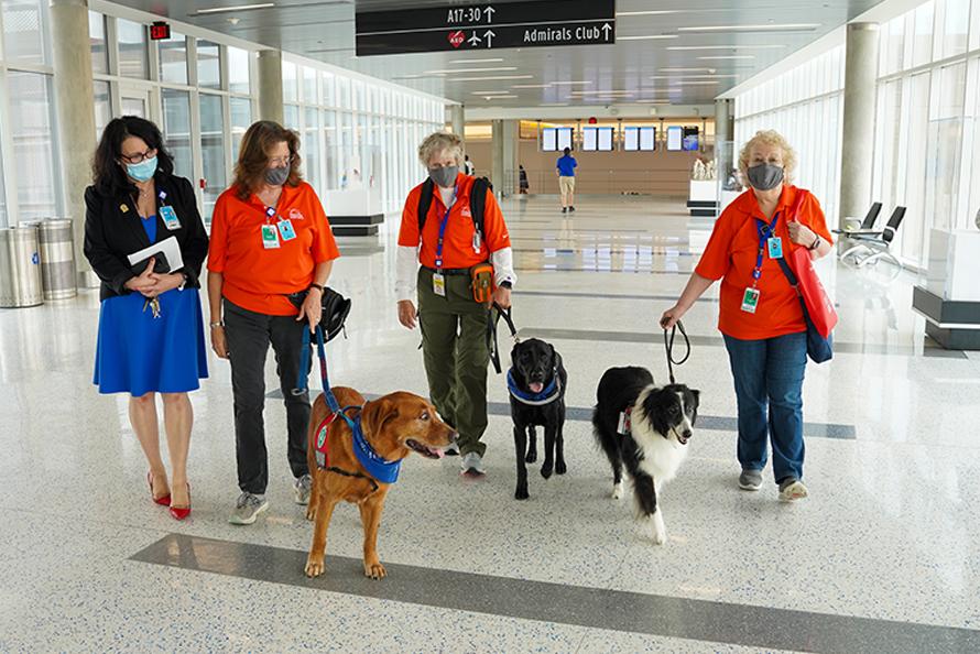 Therapy Dogs