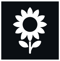 Sunflower Program